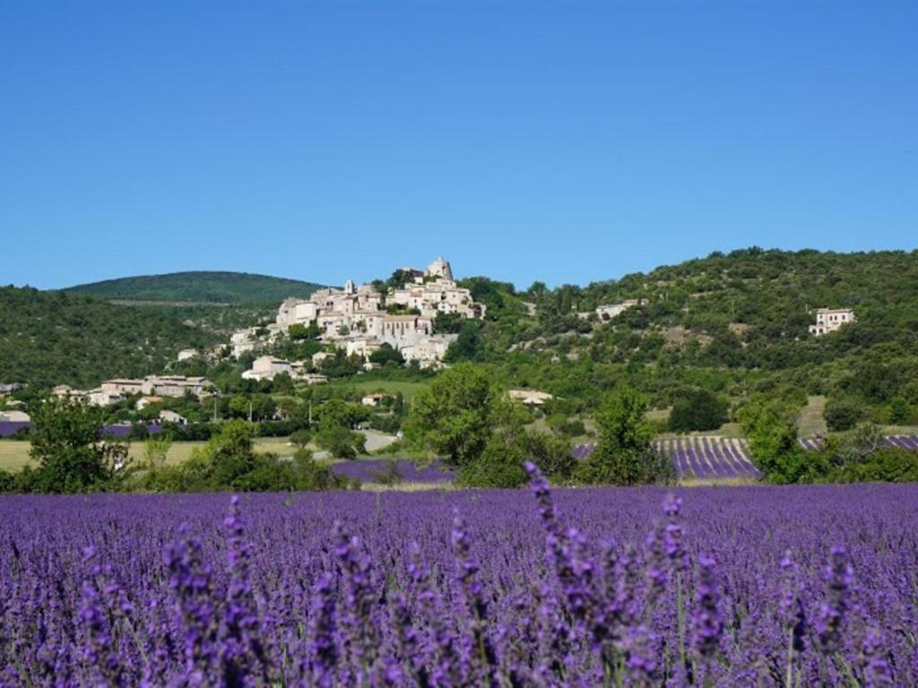 Hotel La Buisse Simiane-la-Rotonde Esterno foto